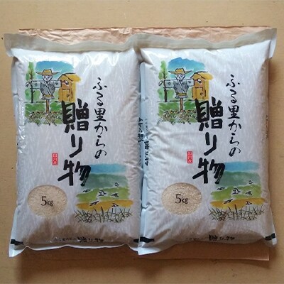 【令和3年産】みよし市産大地の風　精米10kg　