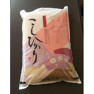 【令和5年産】みよし市産こしひかり精米5kg　