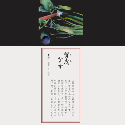 ノリタケ【京香旬彩】27cmプレート(加茂茄子)
