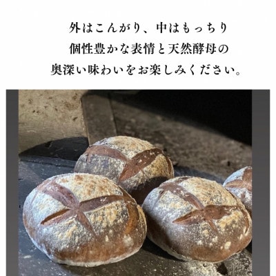 愛知県みよし市産 石窯パン詰め合わせ Mサイズ 7～10個入り