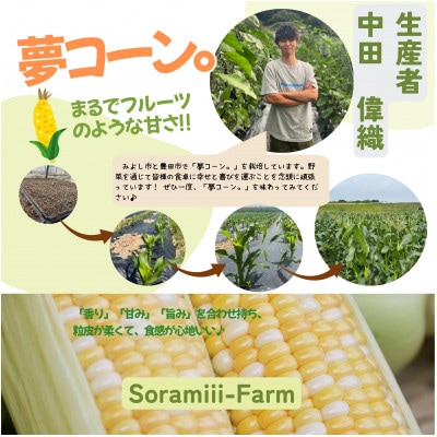【2026年度先行受付】愛知県みよし市産  朝採り「夢コーン。」Lサイズ10本セット　数量限定