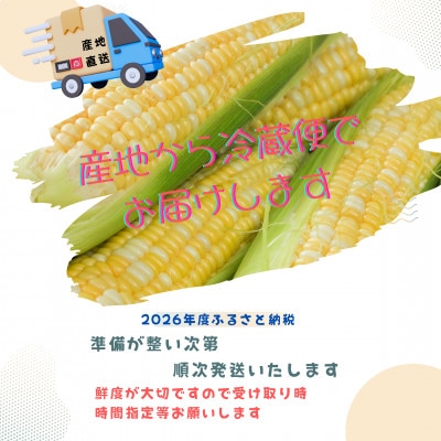【2026年度先行受付】愛知県みよし市産  朝採り「夢コーン。」Lサイズ10本セット　数量限定