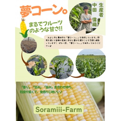 【2025年度】愛知県みよし市産 朝採り「夢コーン。」Lサイズ20本セット 数量限定