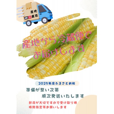 【2025年度】愛知県みよし市産 朝採り「夢コーン。」Lサイズ20本セット 数量限定