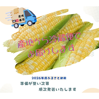 【2026年度先行受付】愛知県みよし市産 朝採り「夢コーン。」Lサイズ8本セット 数量限定