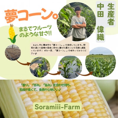 【2026年度先行受付】愛知県みよし市産 朝採り「夢コーン。」 Lサイズ　40本セット　数量限定