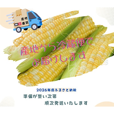 【2026年度先行受付】愛知県みよし市産 朝採り「夢コーン。」 Lサイズ　40本セット　数量限定
