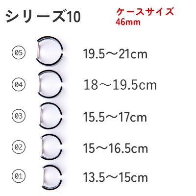 エアバングル/シャイニング シリーズ10 46mm サイズ03