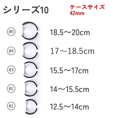 エアバングル/モザイクカラー シリーズ10 42mm サイズ 02