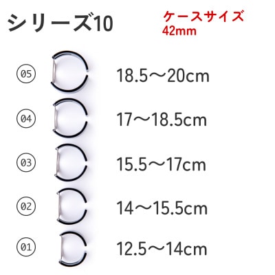 エアバングル/ピアノブラック シリーズ10 42mm サイズ 02