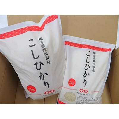 鯖江市産【令和4年産】こしひかり　7kg