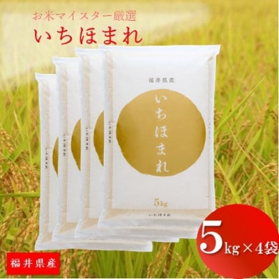 福井県産【令和5年産】いちほまれ 20kg 【2023年10月上旬ごろ順次発送】