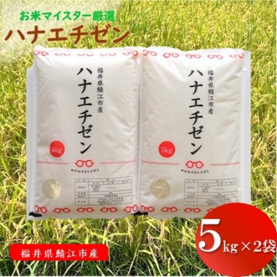 鯖江市産【令和6年産】ハナエチゼン 10kg