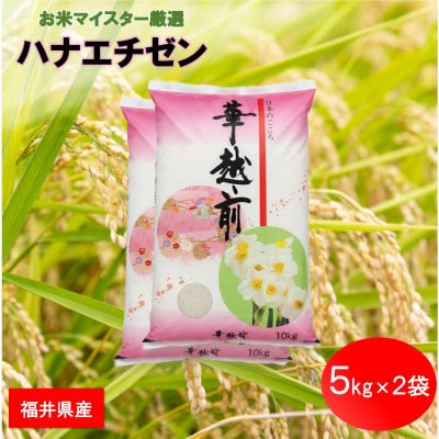 福井県産【令和8年産】ハナエチゼン 10kg