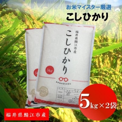 鯖江市産【令和6年産】こしひかり　10kg
