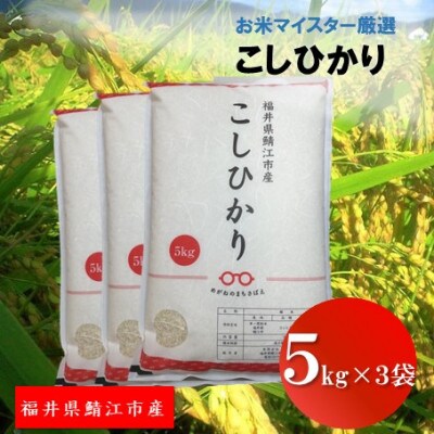 鯖江市産【令和5年産】こしひかり　15kg