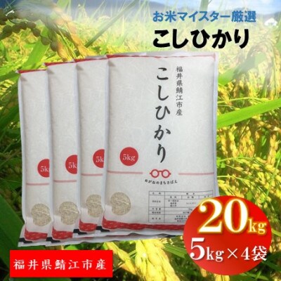 鯖江市産【令和5年産】こしひかり　20kg