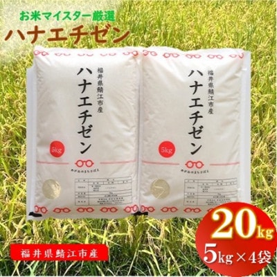 鯖江市産【令和5年産】ハナエチゼン　20kg