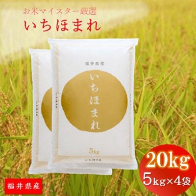 福井県産【令和5年産】いちほまれ 20kg