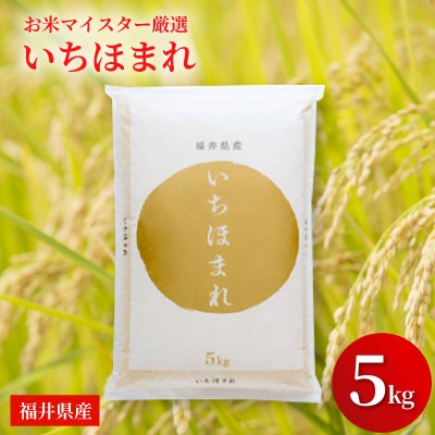 福井県産【令和7年産】いちほまれ 5kg