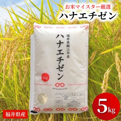 鯖江市産【令和7年産】ハナエチゼン 5kg
