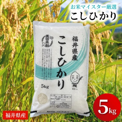 福井県産【令和7年産】こしひかり 5kg