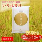 【毎月定期便】福井県産  いちほまれ 5kg全12回