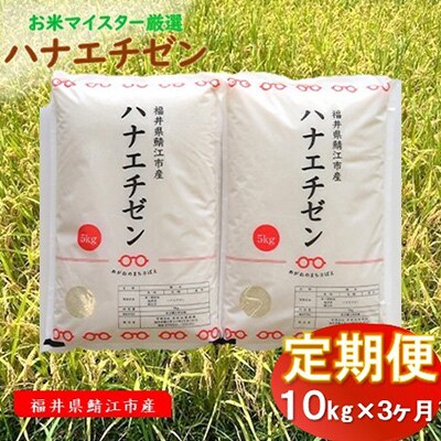 【毎月定期便】鯖江市産　ハナエチゼン　10kg全3回