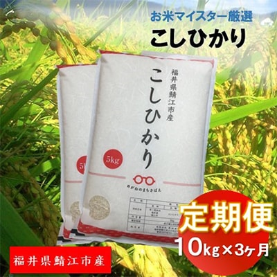 【毎月定期便】鯖江市産　こしひかり　10kg全3回