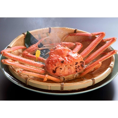 【11月6日漁解禁】福井冬の味覚!　越前がに600～700g1杯 &せいこがに甲羅盛 3個