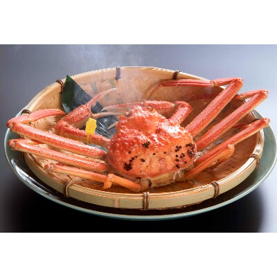 【11月6日漁解禁】福井冬の味覚!越前がに 1杯 (700～800g)
