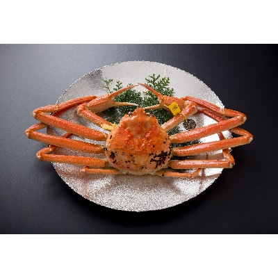 【11月6日漁解禁】福井冬の味覚!越前がに 極 1杯(1,500g以上)