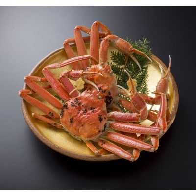 【11月6日漁解禁】福井冬の味覚!越前がに　 1,300-1,400g × 2杯