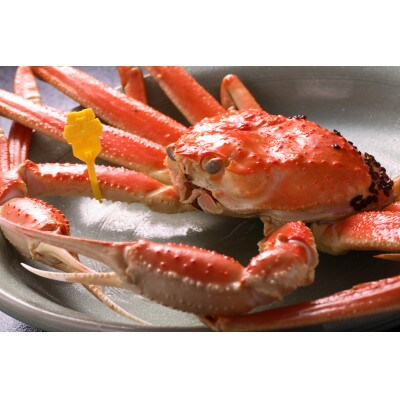 【11月6日漁解禁】福井冬の味覚!越前がに　 1,300-1,400g × 2杯