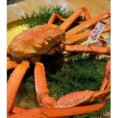 【産地直送】越前産　紅ずわいがに　1.0kg以上×1杯