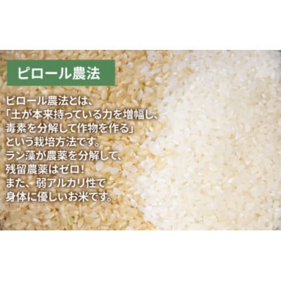 【令和5年産】ピロール農法 コシヒカリ 5kg  玄米真空パック