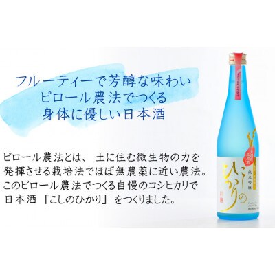 純米吟醸 こしのひかり 無濾過生原酒(500ml × 2本)