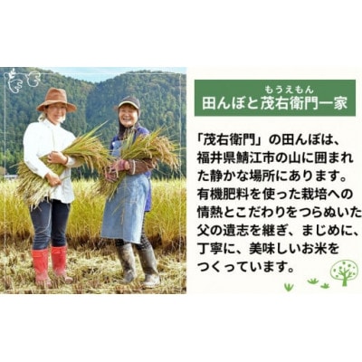 お米のフィナンシェ(米ぬか生地)3本入