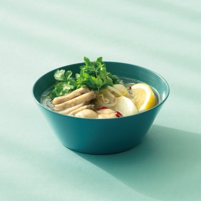 【食洗機対応 カラフルな越前漆器】 RIN&CO.　深皿M / N-02・ノースグリーン