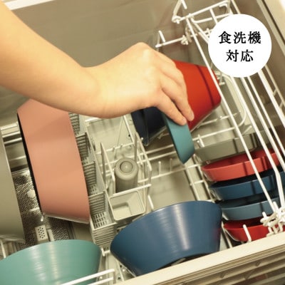 【食洗機対応 カラフルな越前漆器】 RIN&CO.　深皿M / N-02・ノースグリーン