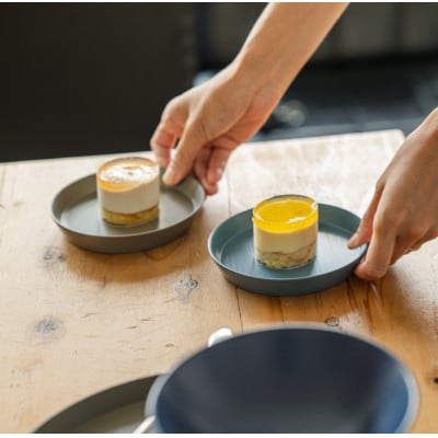 【食洗機対応 カラフルな越前漆器】 RIN&CO.　平皿S / N-01・ノースグレー