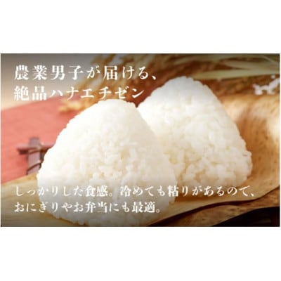 《2025年10月以降 順次発送予定》令和7年産 ハナエチゼン　5kg×2袋(計10kg)