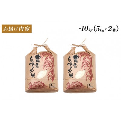 《2025年11月以降 順次発送予定》令和7年産　コシヒカリ　計10kg(5kg×2袋)