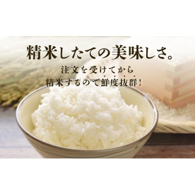 《2025年11月以降 順次発送予定》令和7年産 あきさかり　5kg×2袋(計10kg)