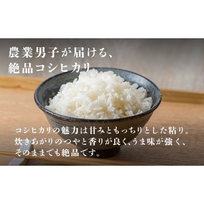 【毎月定期便】コシヒカリ　5kg×2袋(計10kg)全3回