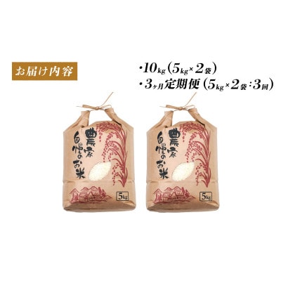【毎月定期便】コシヒカリ　5kg×2袋(計10kg)全3回