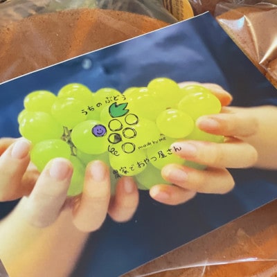 【農家でおやつ屋さん】毎日のおやつ!ふわふわ手作りシフォンケーキ(人気7種SET)