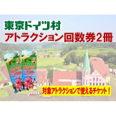 東京ドイツ村　アトラクション回数券　【2冊】
