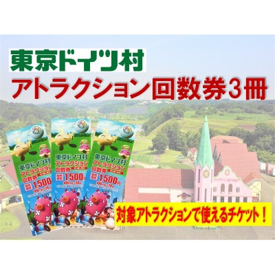 東京ドイツ村　アトラクション回数券　【3冊】