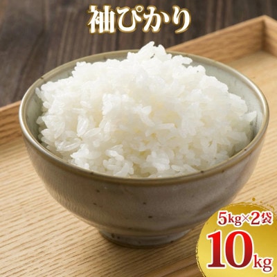 令和7年産 袖ぴかり(コシヒカリ)精米 10kg(5kg×2)